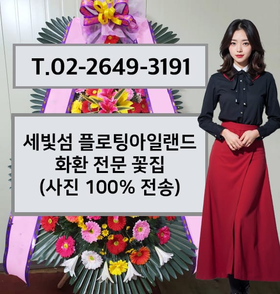 세빛섬 플로팅아일랜드 전경